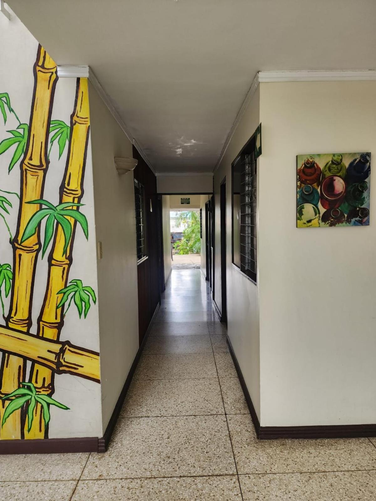Costa Rica Backpackers Hostel San Jose  Ngoại thất bức ảnh