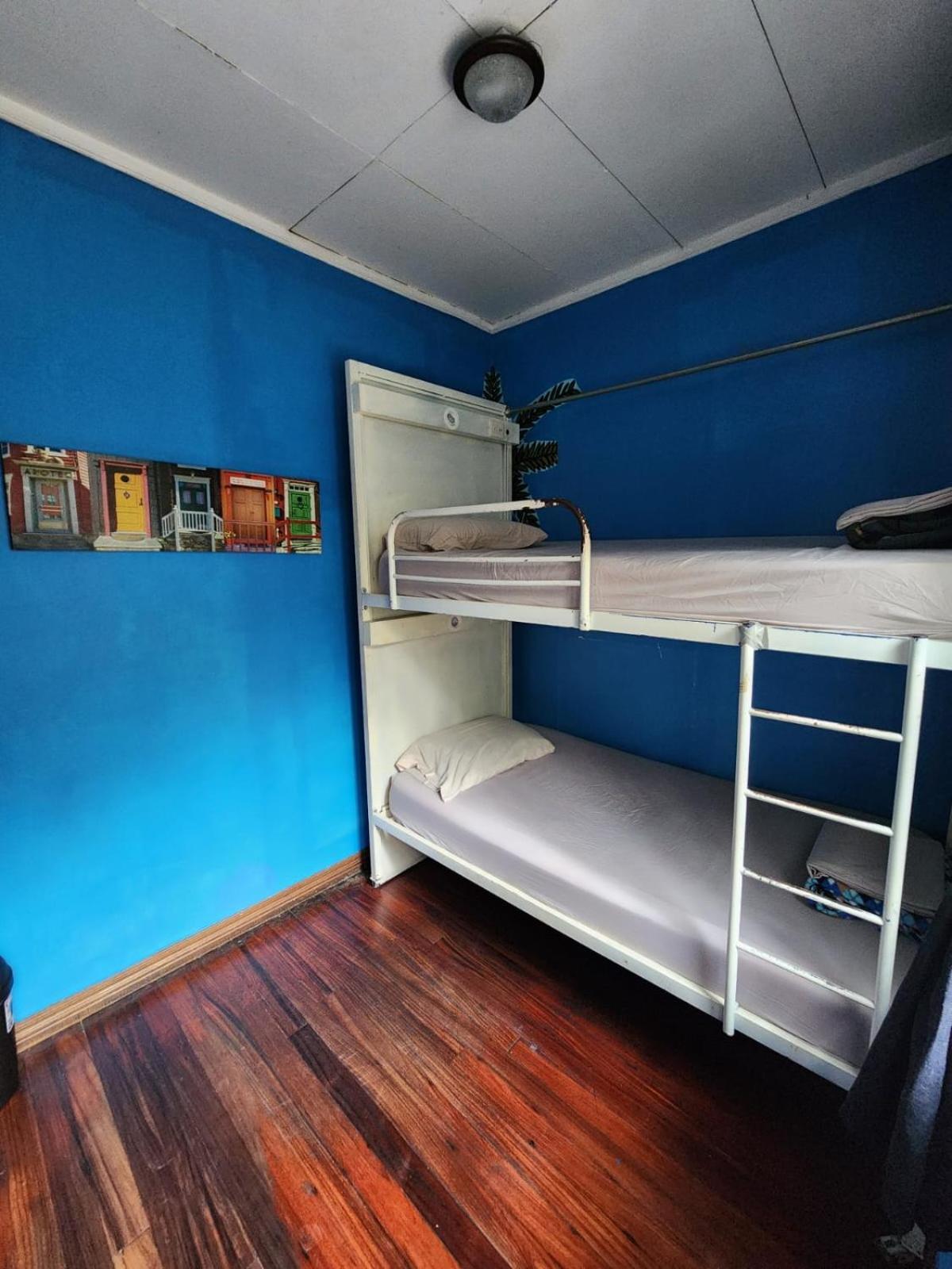 Costa Rica Backpackers Hostel San Jose  Ngoại thất bức ảnh