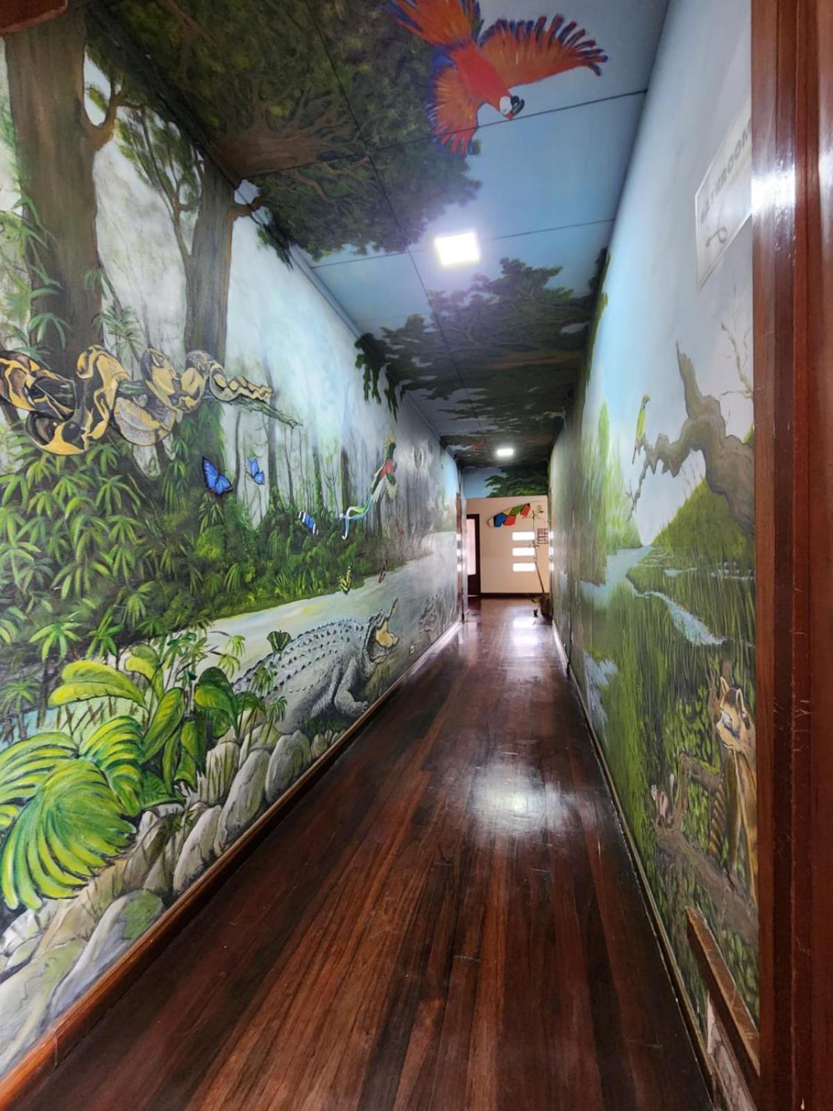 Costa Rica Backpackers Hostel San Jose  Ngoại thất bức ảnh